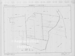 1 vue Autainville (Commune de) : plan de remembrement. Section ZW