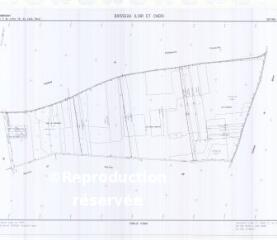 1 vue Boisseau (Commune de) : plan de remembrement. Section ZL