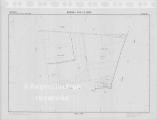 1 vue Boisseau (Commune de) : plan de remembrement. Section ZM
