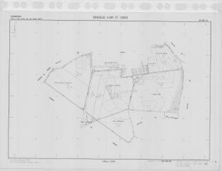 1 vue Boisseau (Commune de) : plan de remembrement. Section ZO