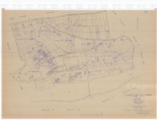 1 vue Châtillon-sur-Cher (Commune de) : plan de réorganisation foncière. Section WV