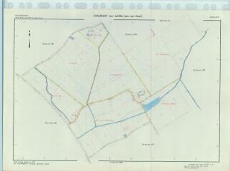 1 vue Chaumont-sur-Loire (Commune de) : plan de remembrement. Section ZN