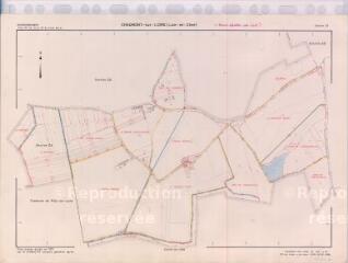 1 vue Chaumont-sur-Loire (Commune de) : plan de remembrement. Section ZV