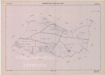 1 vue Montoire-sur-le-Loir (Commune de) : plan de remembrement. Section ZH calque définitf