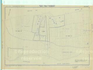 1 vue Mont-Près-Chambord (Commune de) : plan de réorganisation foncière. Section AW