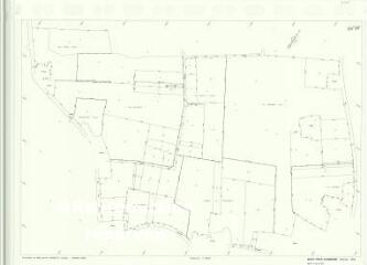 1 vue Mont-Près-Chambord (Commune de) : plan de réorganisation foncière. Section WW