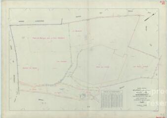 1 vue Nourray (Commune de) : plan de remembrement. Section ZL