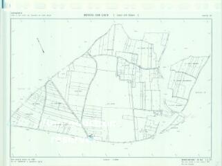 1 vue Noyers-sur-Cher (Commune de) : plan de remembrement. Section ZD