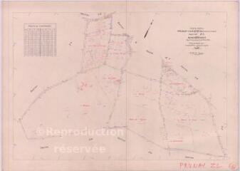 1 vue Prunay-Cassereau (Commune de) : plan de remembrement. Section ZL