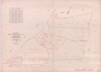 1 vue Prunay-Cassereau (Commune de) : plan de remembrement. Section ZM