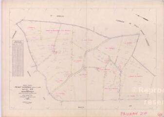 1 vue Prunay-Cassereau (Commune de) : plan de remembrement. Section ZP