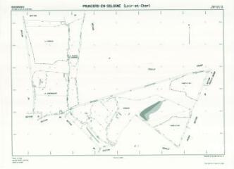 1 vue Pruniers-en-Sologne (Commune de) : plan de remembrement. Section ZI