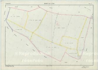 1 vue Rahart (Commune de) : plan de remembrement. Section ZI