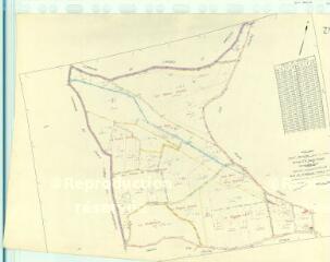 1 vue Saint-Bohaire (Commune de) : plan de remembrement. Section ZN