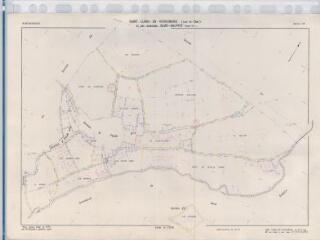 1 vue Saint-Lubin-en-Vergonnois (Commune de) : plan de remembrement. Section ZK