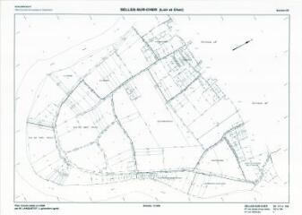 1 vue Selles-sur-Cher (Commune de) : plan de remembrement. Section ZV