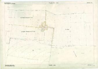 1 vue Tripleville (Commune de) : plan de remembrement. Section ZL