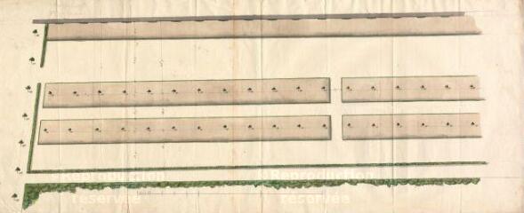 1 vue MENARS.- Jardin : plan de détail d'un projet d'espaliers ; 1774 ; sans échelle