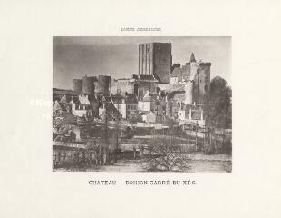 1 vue  - Département d\'Indre-et-Loire : Château - Donjon carré du XIe siècle (ouvre la visionneuse)