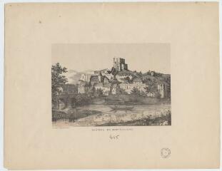 1 vue  - Montrichard : Château de Montrichard (ouvre la visionneuse)