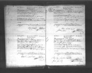530 vues  - Registre d\'état civil. microfilm des registres des naissances, mariages, décès. (brumaire an IX-octobre 1831) (ouvre la visionneuse)