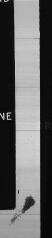 734 vues  - Registre d\'état civil. microfilm des registres des baptêmes, mariages, sépultures. (1730-1792) : microfilm des registres des naissances, mariages, décès. (1793-1811) (ouvre la visionneuse)