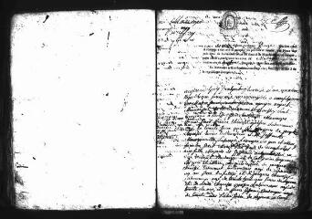 668 vues Registre d'état civil. microfilm des registres des naissances, mariages, décès. (pluviôse an IV-1832)