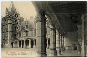 1 vue Le château, aile Louis XII, vue a travers les colonnades.
