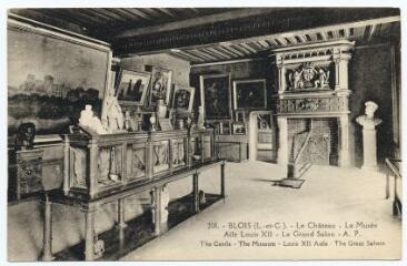 1 vue  - Le château, le musée, aile Louis XII, le grand salon. (ouvre la visionneuse)
