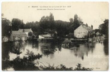1 vue  - La crue de la Loire, 21 octobre 1907, levée des Ponts Chartrains. (ouvre la visionneuse)