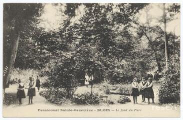 1 vue  - Pensionnat Sainte-Geneviève, le fond du parc. (ouvre la visionneuse)