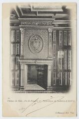 1 vue  - Le château, aile de François 1er, bibliothèque de Catherine de Médicis. (ouvre la visionneuse)