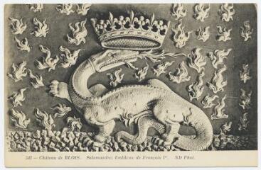 1 vue  - Le château, salamandre, emblème de François 1er. (ouvre la visionneuse)