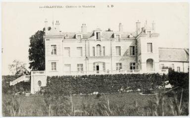 1 vue Château de Montrion.