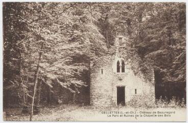 1 vue Château de Beauregard, le parc et ruines de la chapelle des bois.