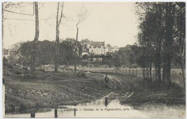 1 vue  - Château de la Pigeonnière, près Villelouët. (ouvre la visionneuse)
