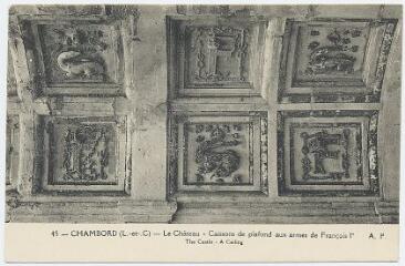 1 vue  - Le château, caissons de plafond aux armes de François 1er. (ouvre la visionneuse)