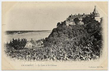 1 vue La Loire et le château.