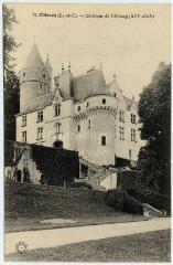 1 vue  - Château de Chissay (XVIe siècle). (ouvre la visionneuse)
