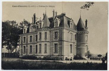 1 vue  - Château de Sérigny. (ouvre la visionneuse)