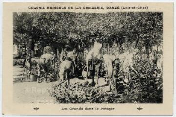 1 vue  - Colonie agricole de la Croizerie, les grands dans le potager. (ouvre la visionneuse)