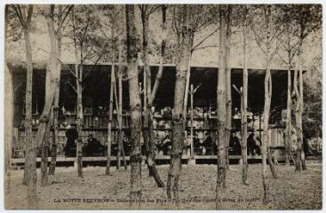 1 vue Sanatorium des pins, une des cures d'hiver au midi.