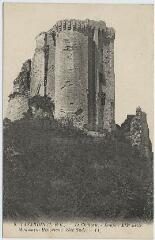 1 vue  - Le château, donjon XIIe siècle, monument historique (côté sud). (ouvre la visionneuse)