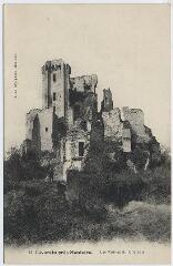 1 vue  - Les ruines du château. (ouvre la visionneuse)