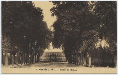 1 vue Avenue du château.