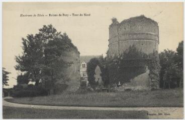 1 vue Ruines de Bury, tour du nord.