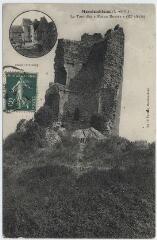 1 vue  - La tour \'pot au beurre\' (XIe siècle). (ouvre la visionneuse)