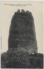 1 vue La tour penchée dite Pot-au-Beurre (XIe siècle).