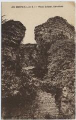 1 vue Vieux donjon, XIIe siècle.