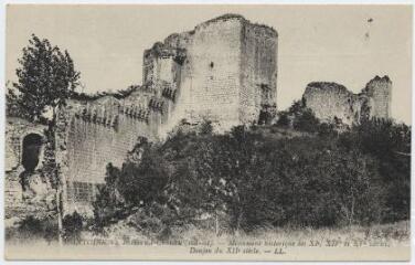 1 vue Ruines du château, monument historique des XIe, XIVe et XVe siècle, donjon du XIIe siècle.